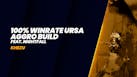 29. You cannot lose with this Ursa Aggro Build (ft. Nightfall)
